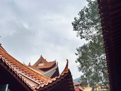 -深圳仙湖植物园