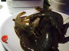 -鼎香缘海鲜自助火锅烤肉(锦辉购物广场店)