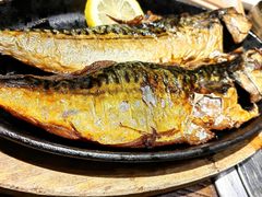-坦坦大炉·韩式烤肉(望京店)