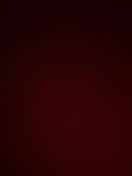 -莫莉幻想儿童乐园(郑州丹尼斯三天地店)