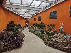 -正佳雨林生态植物园