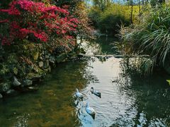 -塔川景区
