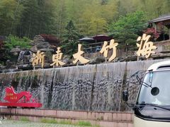 -宁波浙东大竹海景区