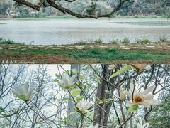 -南宁良凤江国家森林公园