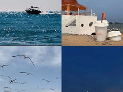 -巧克力渔家.小船海鲜家常菜(万平口店)