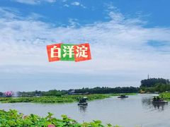 -白洋淀风景区