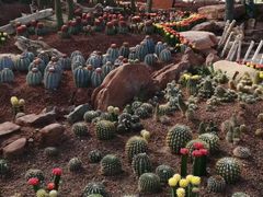 -南通洲际绿博园