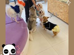 -怪兽屋·羊驼·猫咖·狗咖(俊华广场店)