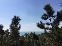 -福如东海文化园