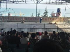 -东方熊牧场
