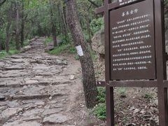 -阳台山自然风景区