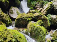 -青城山