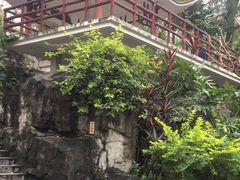 -晓港公园