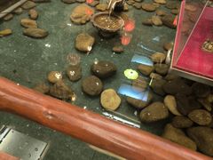 -潇湘甲鱼村(清河店)