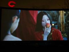 -枫花园汽车电影院(朝阳公园店)