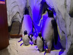 -太平洋海底世界