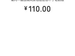 -正宗忘不了老鹅(梅岭店)