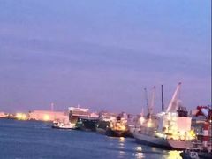 -台场海滨公园船码头