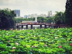 -黄兴公园