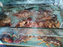 -尚海豆捞(乐虹坊店)