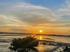 -宝安西湾红树林湿地公园