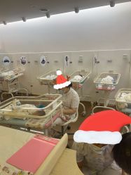 -海豚湾高端月子会所(黄浦店)