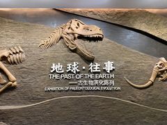 -柳州白莲洞洞穴科学博物馆