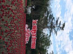 -上海野生动物园