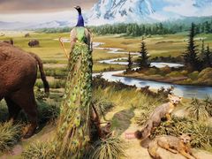 -陕西自然博物馆