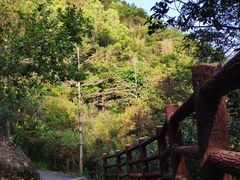 -羚羊峡古栈道森林公园