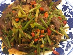 -新新湘菜馆(新中街二条店)