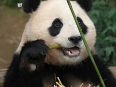 -老李家土菜馆·安吉地标美食