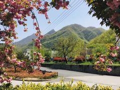 -龙峪湾国家森林公园