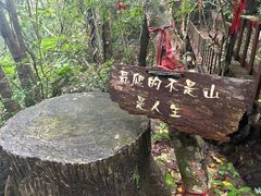 -七仙岭温泉国家森林公园