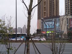 -安徽大学(磬苑校区)