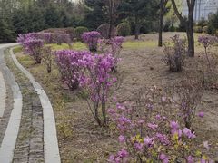 -哈尔滨师范大学(松北校区)