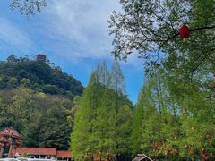 -缙云山景区
