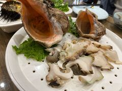 海螺-东辰望海鱼码头·海鲜餐厅