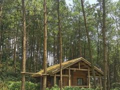 -重庆雨台山风景区