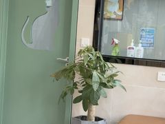 -半岛宠物医院24小时·内窥镜·牙科·碎石中心(府城大道店)