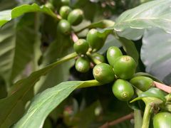 -后谷咖啡(建设巷店)