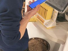 -广顺鑫猪肚鸡(经八路店)