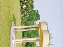 -鹅湖玫瑰文化园