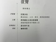 -新加坡航空公司(ION)