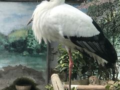-成都动物园