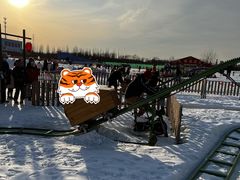 -绿野森林乐园冰雪季