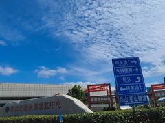 -洋山深水港