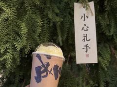 春江水暖-成川茶店·潮汕工夫浓茶(万象店)