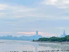 -深圳湾公园(南山区)