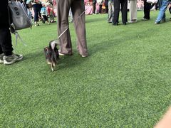 -圣玛利亚女中旧址